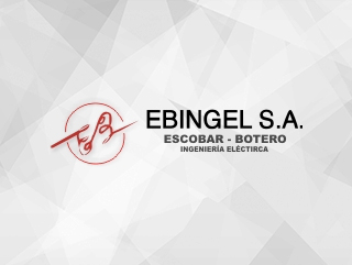 EBINGEL S.A